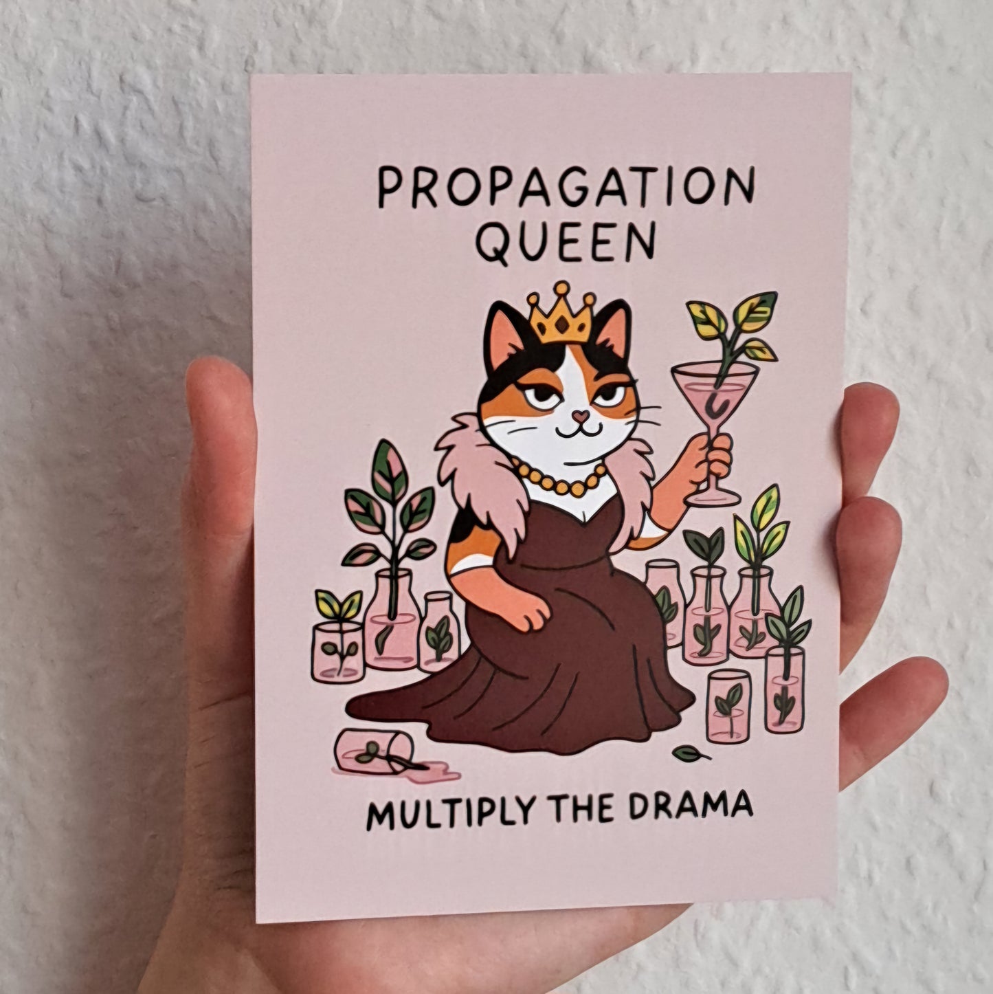A6 Print "Propagation queen"