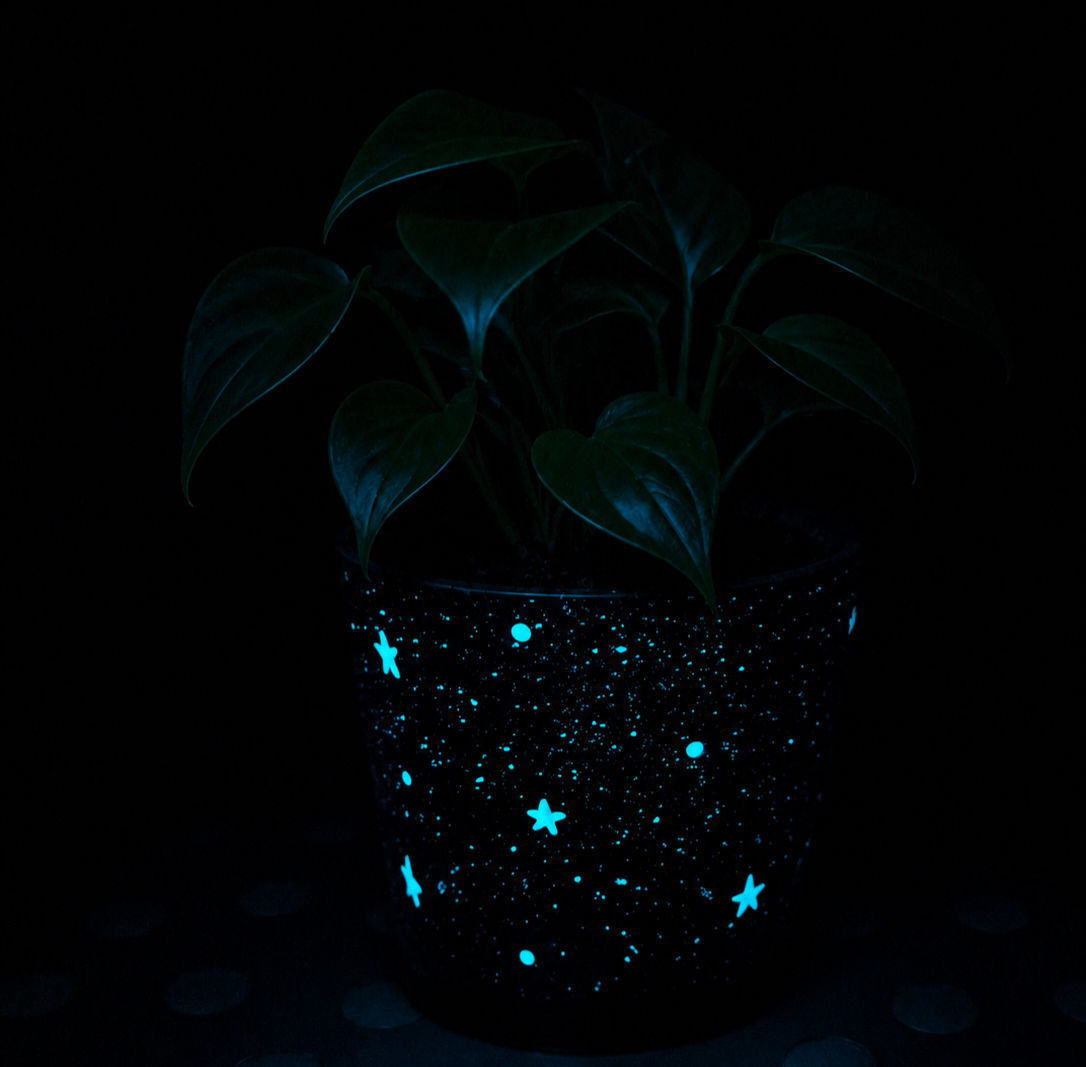 Glow in the dark Topf "Star Static" Mini (6)