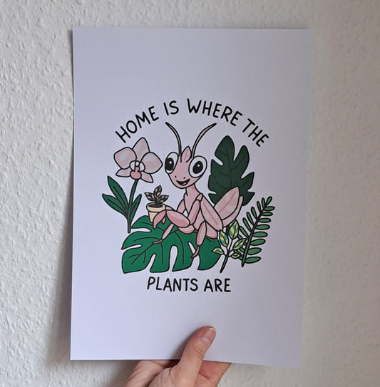 A4 Print "Home is where the plants are"