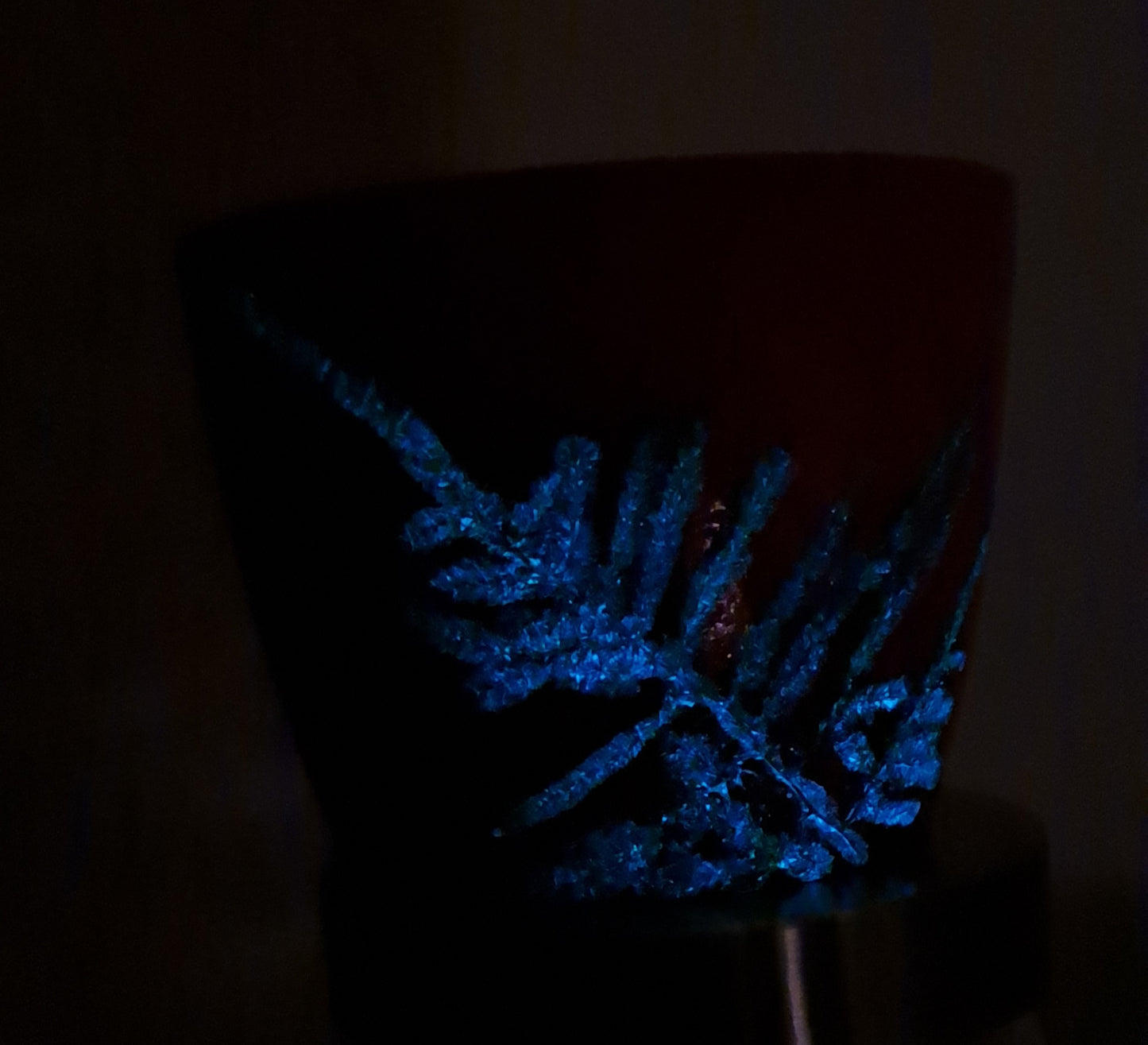 Glow in the dark Topf "Farn rosa"