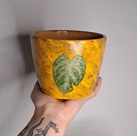 Glow in the dark Topf "Farn &  Anthurium"