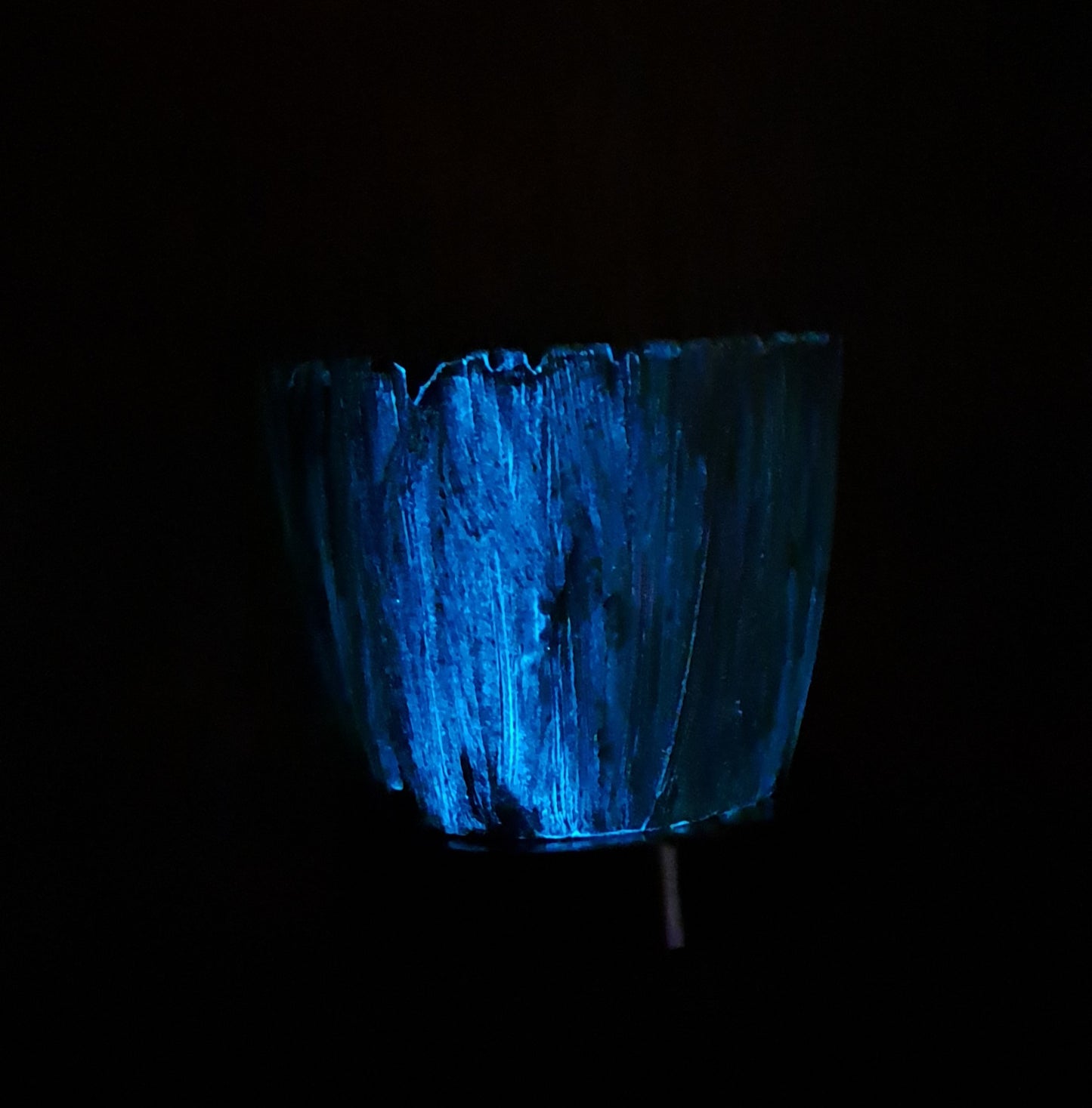 Glow in the dark Topf "froggy"