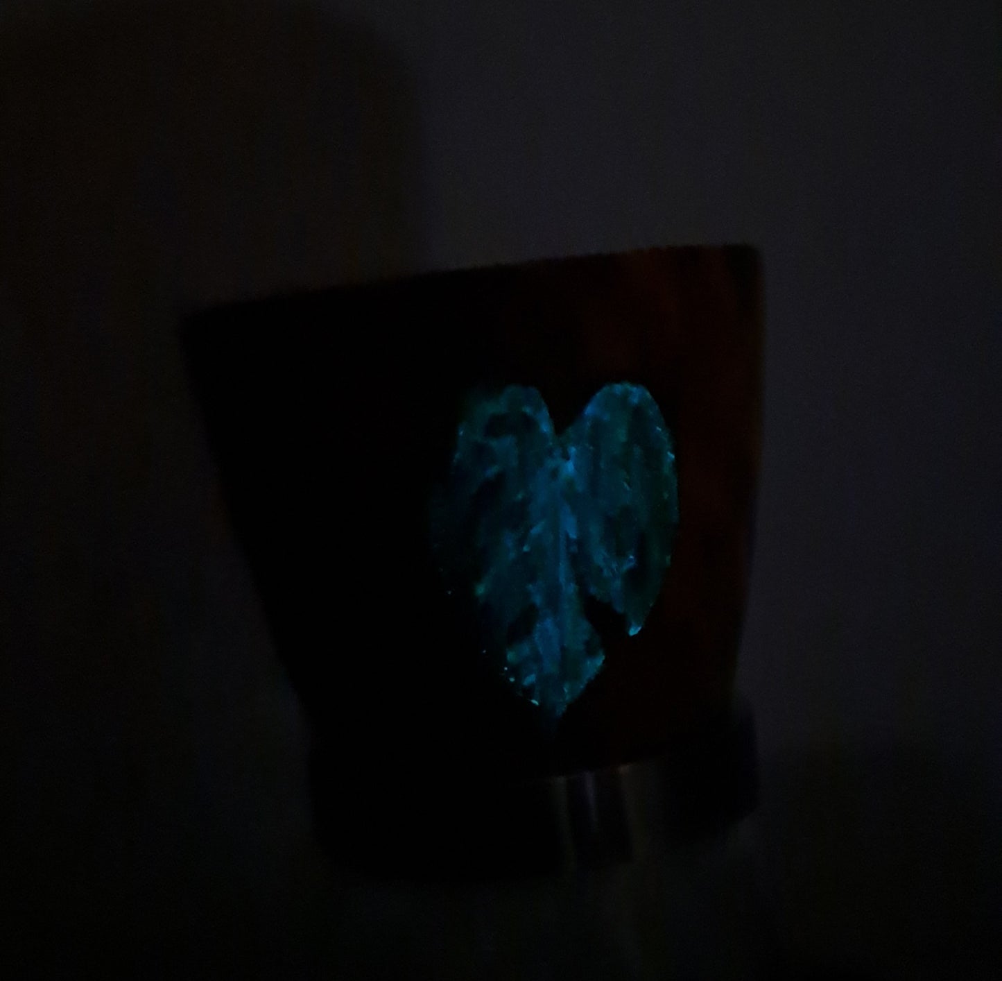 Glow in the dark Topf "Farn &  Anthurium"